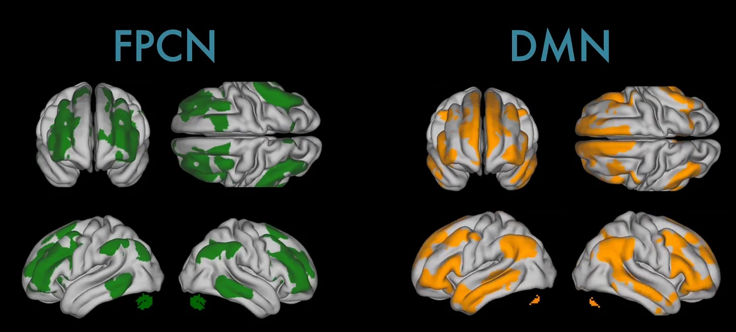 Brain networks involved in pattern generation vs verification